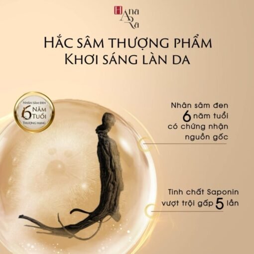 Black Ginseng Tone Up Sunscreen SPF 50 pa++++ - Image 3