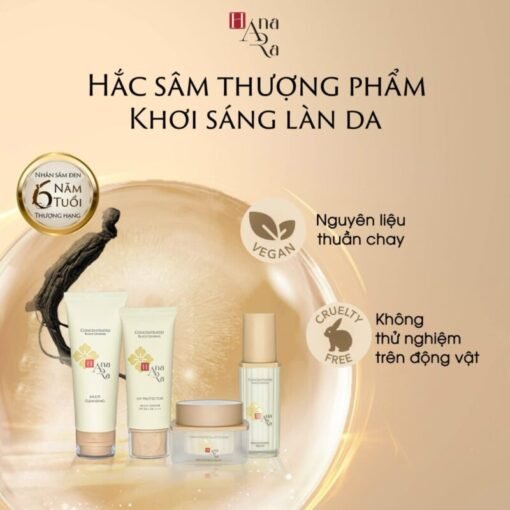 Black Ginseng Tone Up Sunscreen SPF 50 pa++++ - Image 5